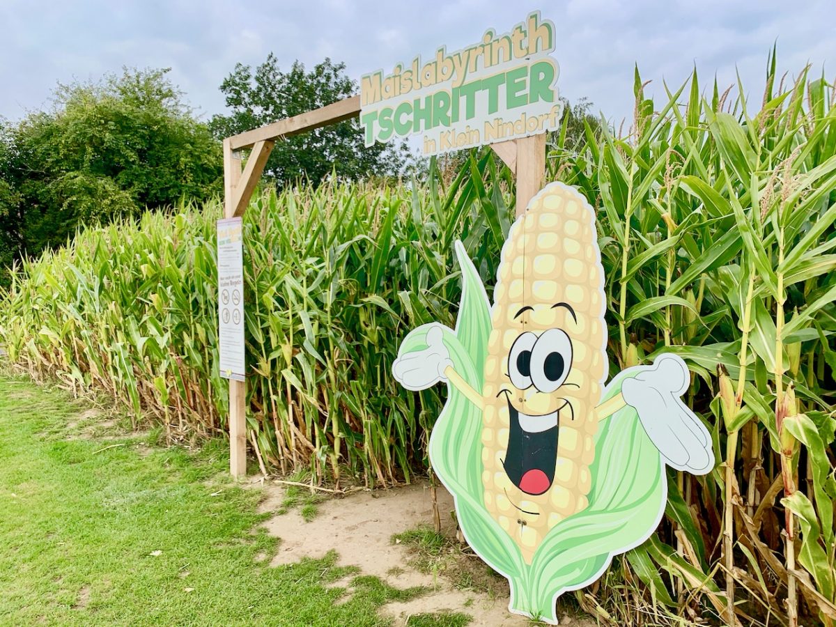 Maislabyrinth Buxtehude