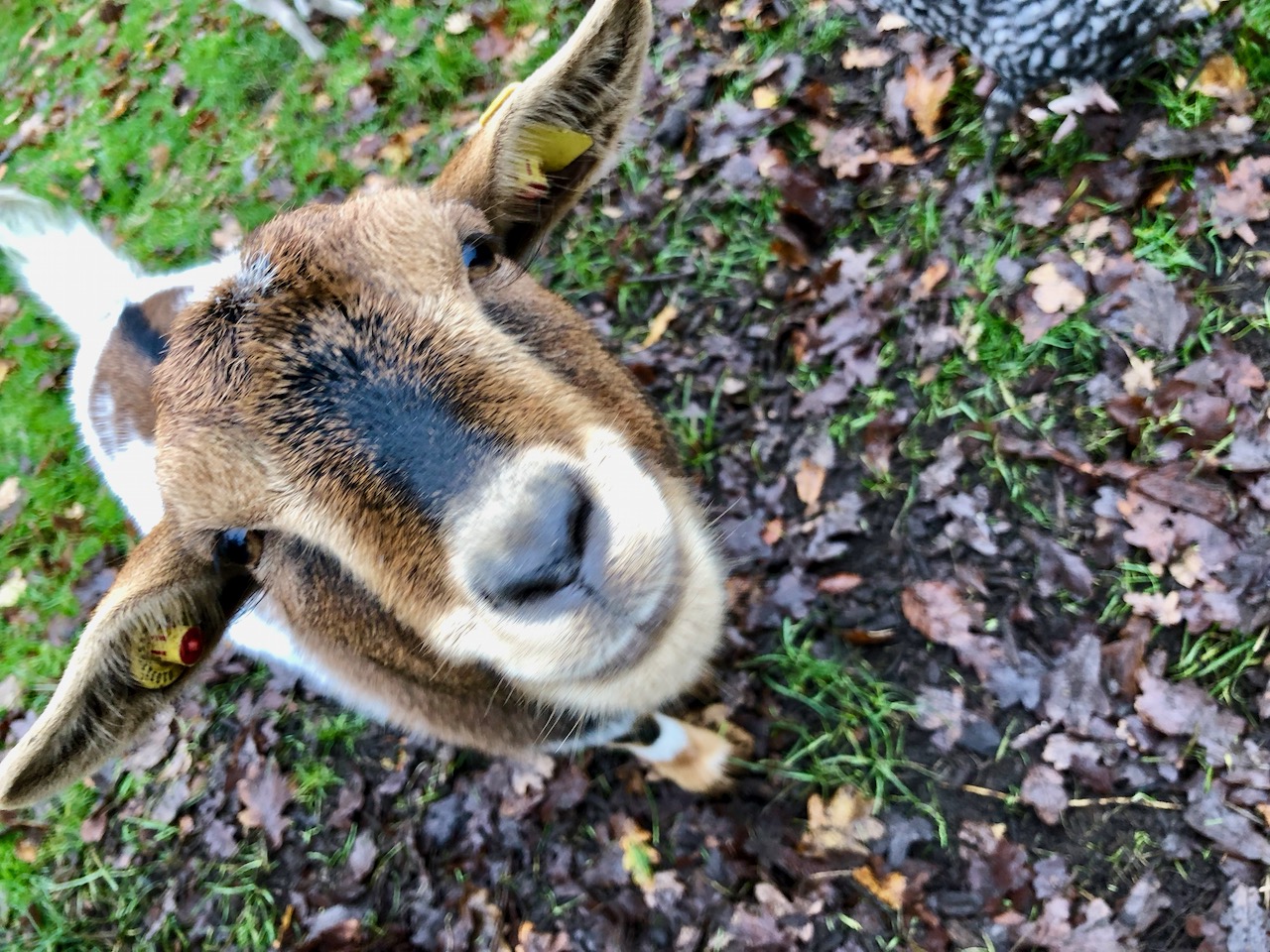 Klostergut Burgsittensen Bewohner