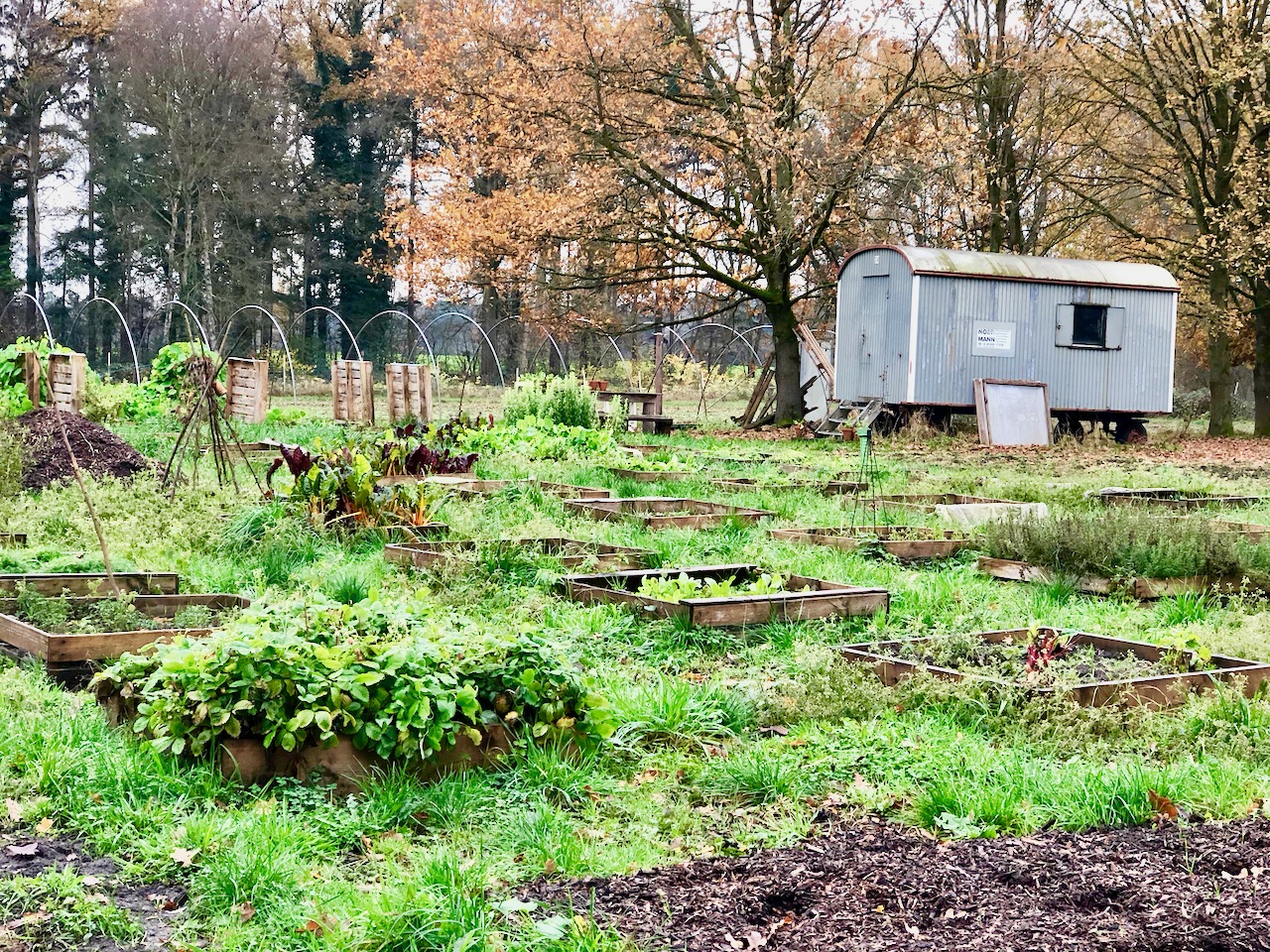 Klostergut Burgsittensen - Mietbeete ab 2021