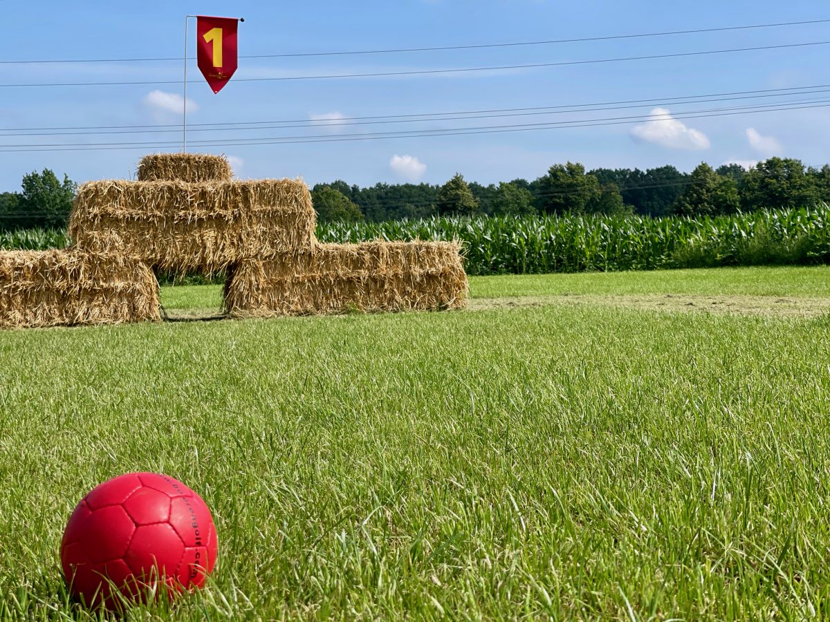 Bauerngolf bei Hamburg